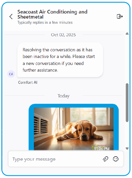 Chat widget interacting with customers